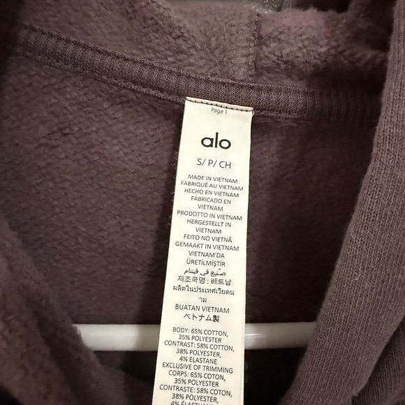 Alo Raisinette Accolade Hoodie - Picture 3 of 3